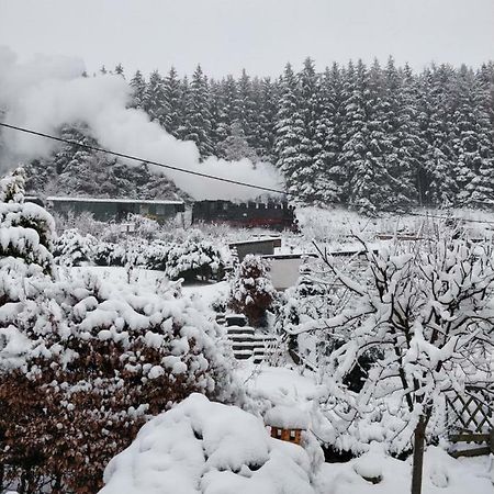Ferienwohnung Bimmelbahn-Blick Neudorf  Exteriér fotografie