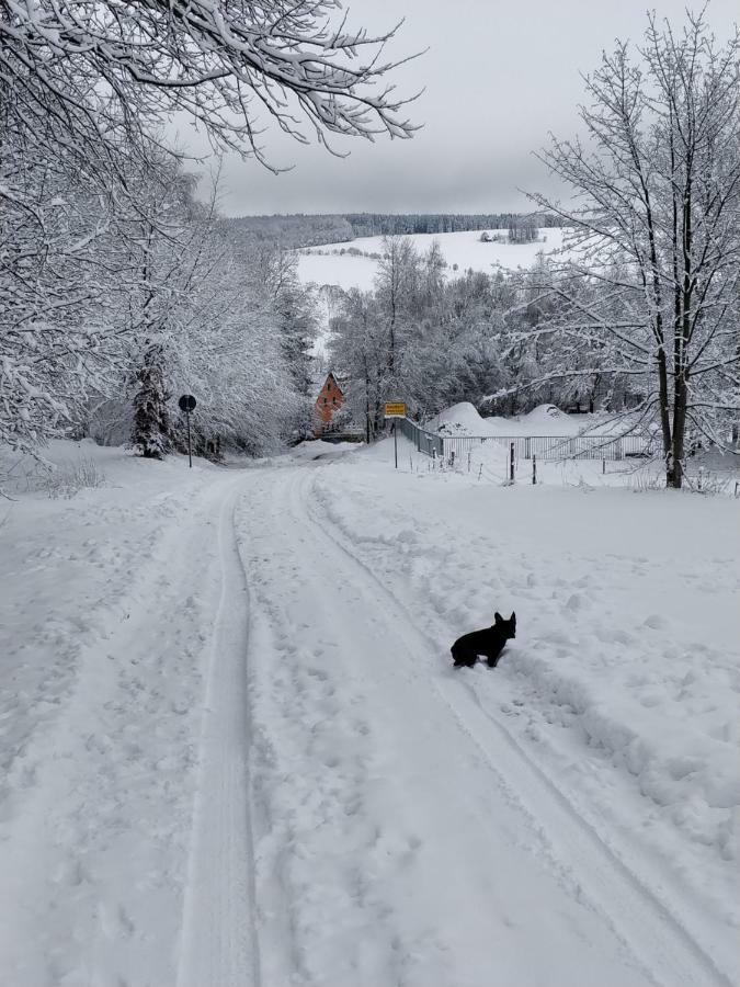 Ferienwohnung Bimmelbahn-Blick Neudorf  Exteriér fotografie