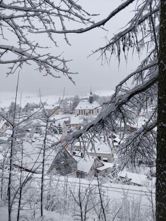 Ferienwohnung Bimmelbahn-Blick Neudorf  Exteriér fotografie